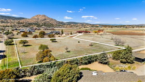 Aerial (3) Lot Lines