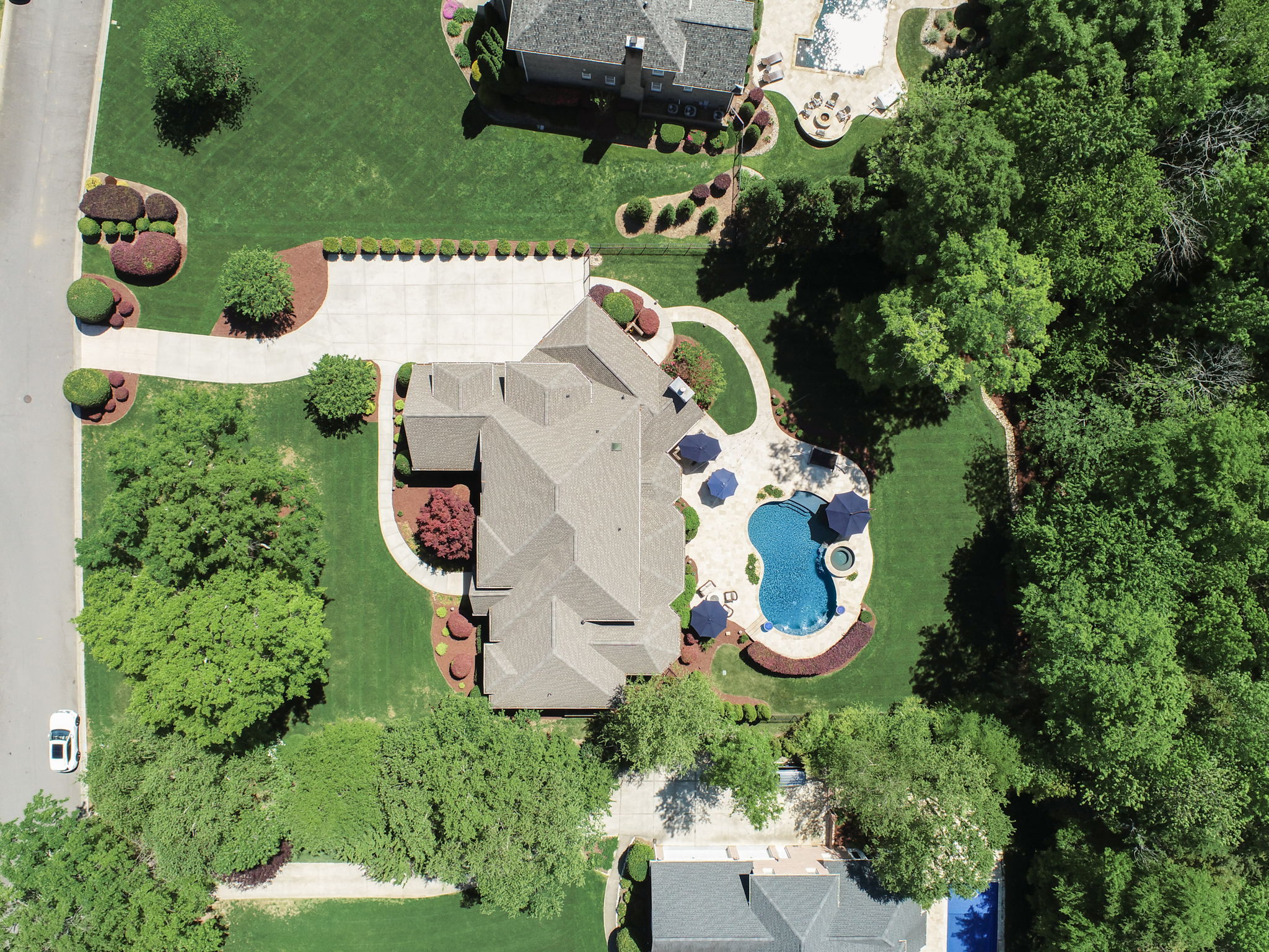 Whirlaway Ln-079
