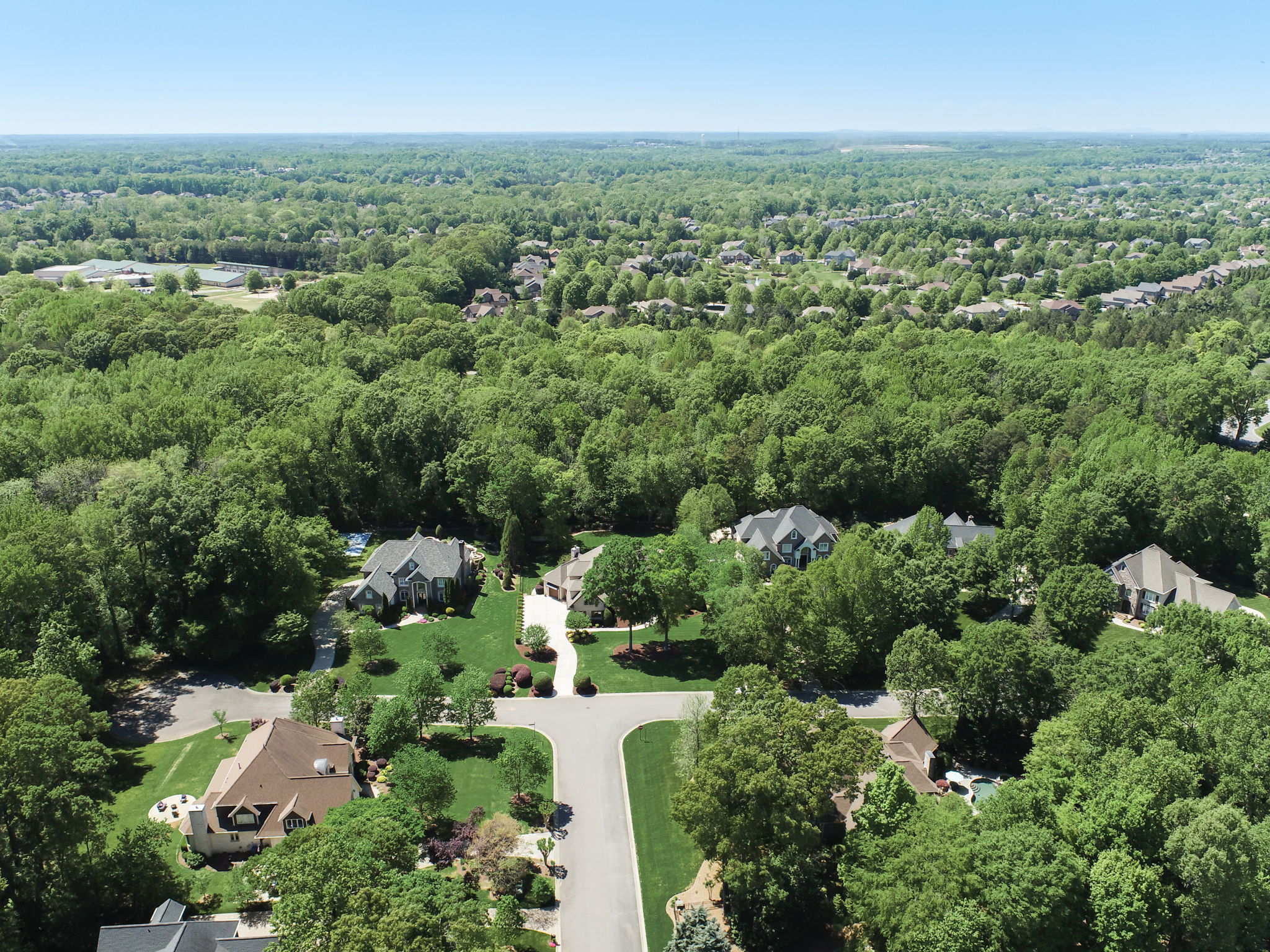 Whirlaway Ln-081