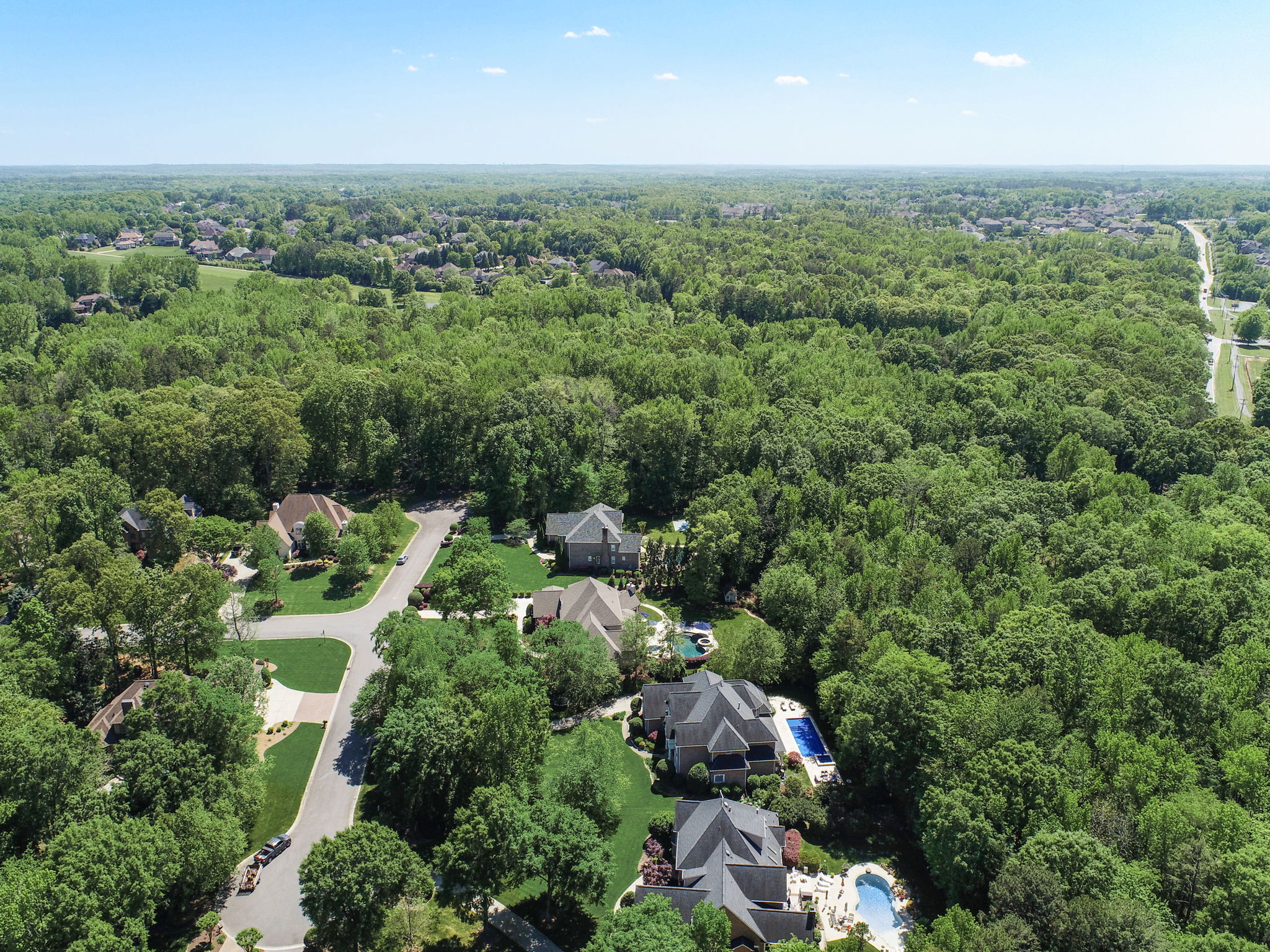 Whirlaway Ln-089