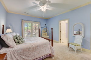 Whirlaway Ln-032
