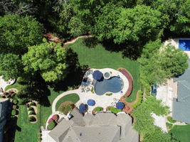 Whirlaway Ln-091