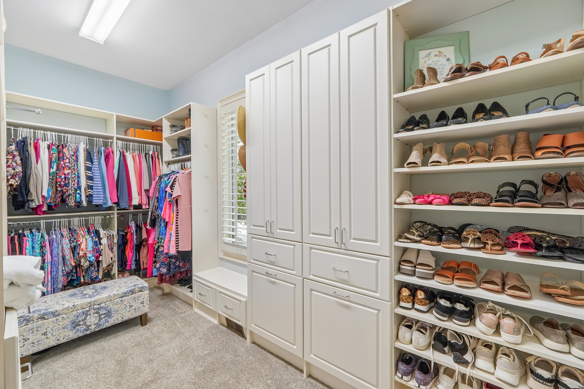 Whirlaway Ln-S2905-049.jpg