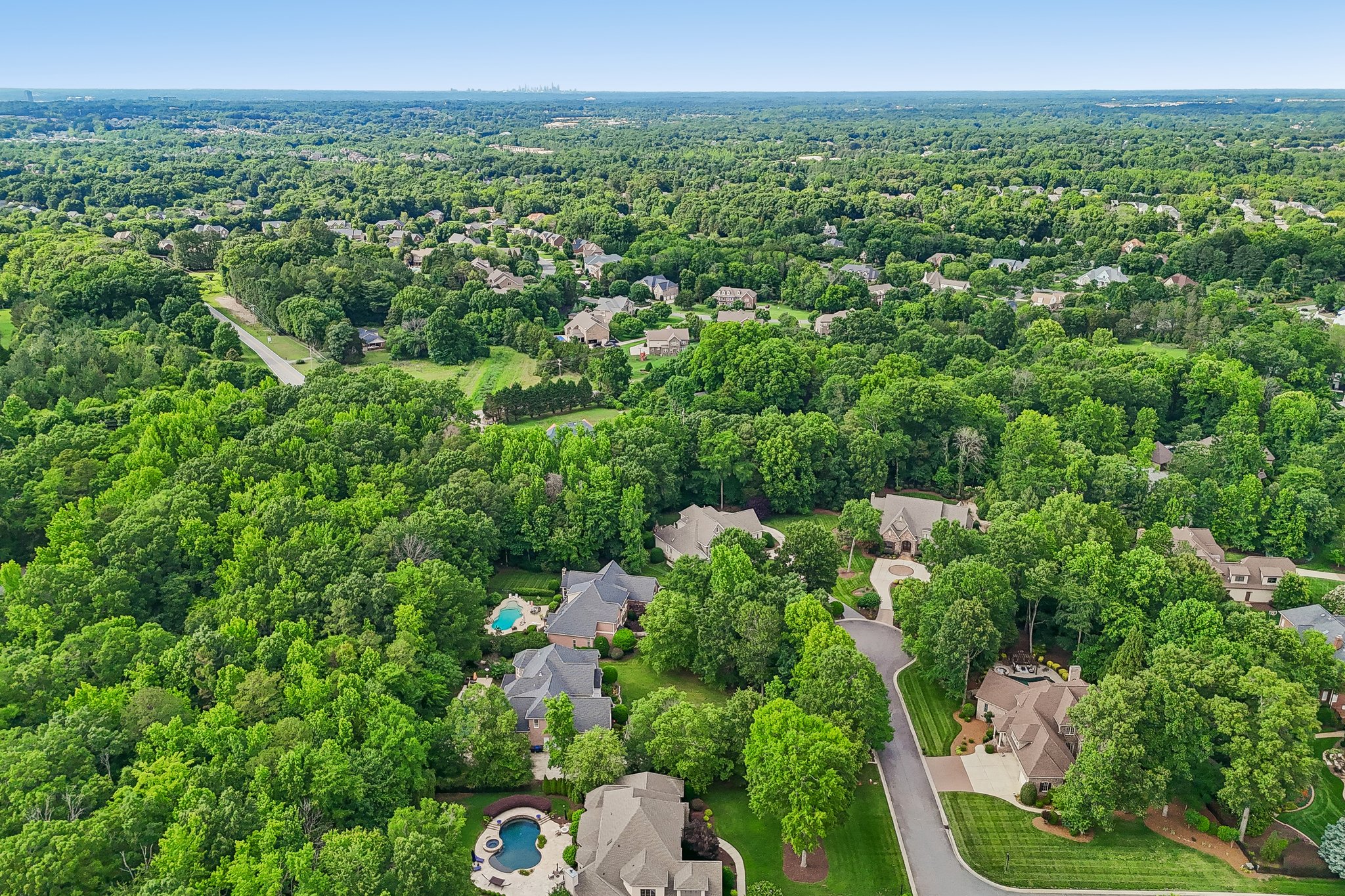 Whirlaway Ln-S2905-101.jpg