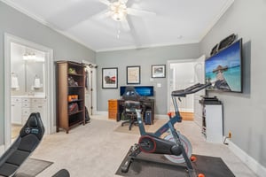 Whirlaway Ln-S2905-053.jpg