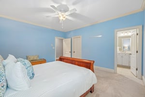 Whirlaway Ln-S2905-061.jpg