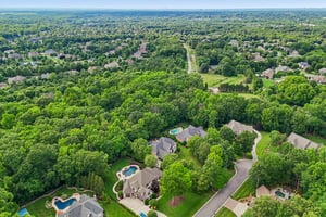Whirlaway Ln-S2905-100.jpg