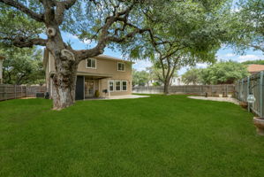  Photo 44