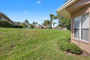 Backyard2a