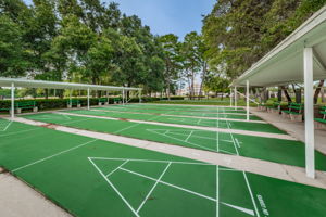37-Shuffleboard