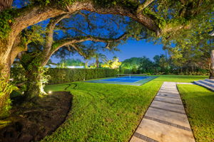  Photo 50