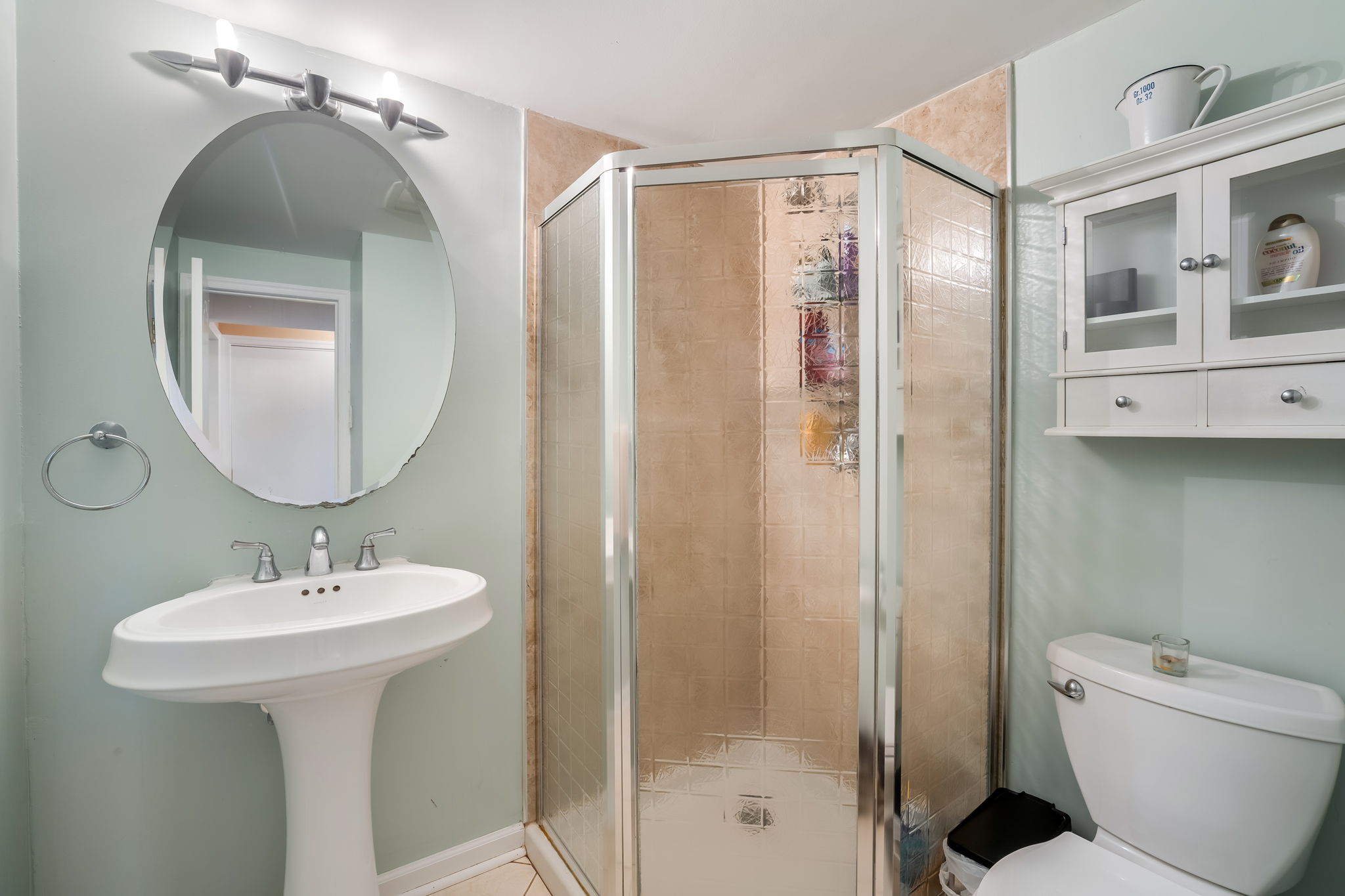 Lower level full bathroom