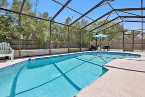 Screened Pool Area