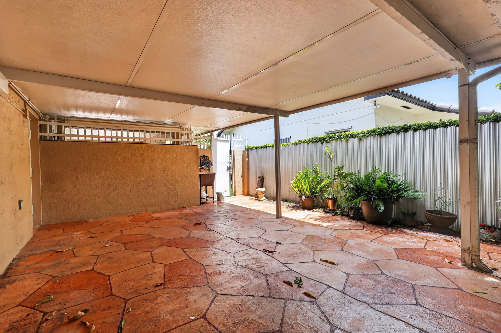  Photo 44
