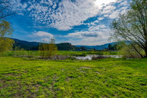  Photo 50