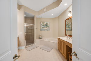 Primary Bath View 2