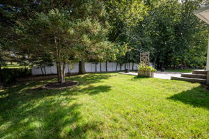  Photo 49