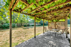  Photo 41