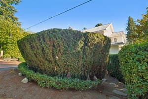 NE 10th St-S0909-004.jpg