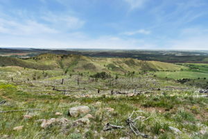  Photo 0