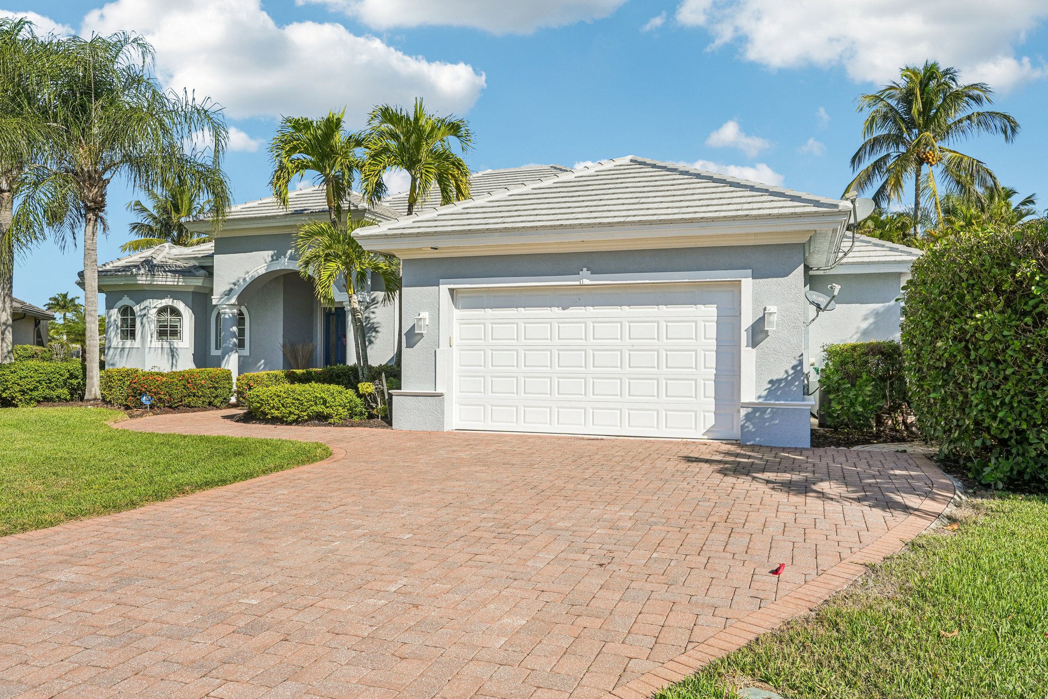 Star Tulip Ct-S2401-002.jpg