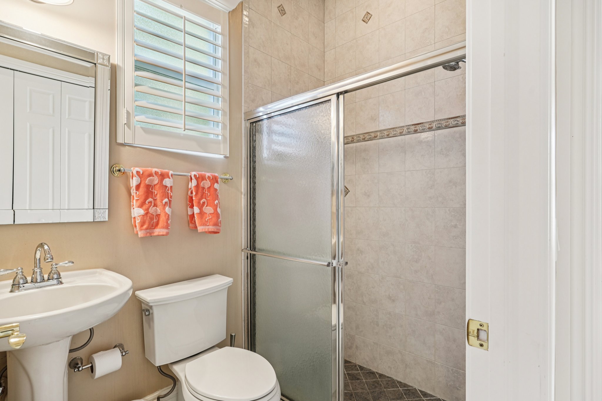 Star Tulip Ct-S2401-020.jpg