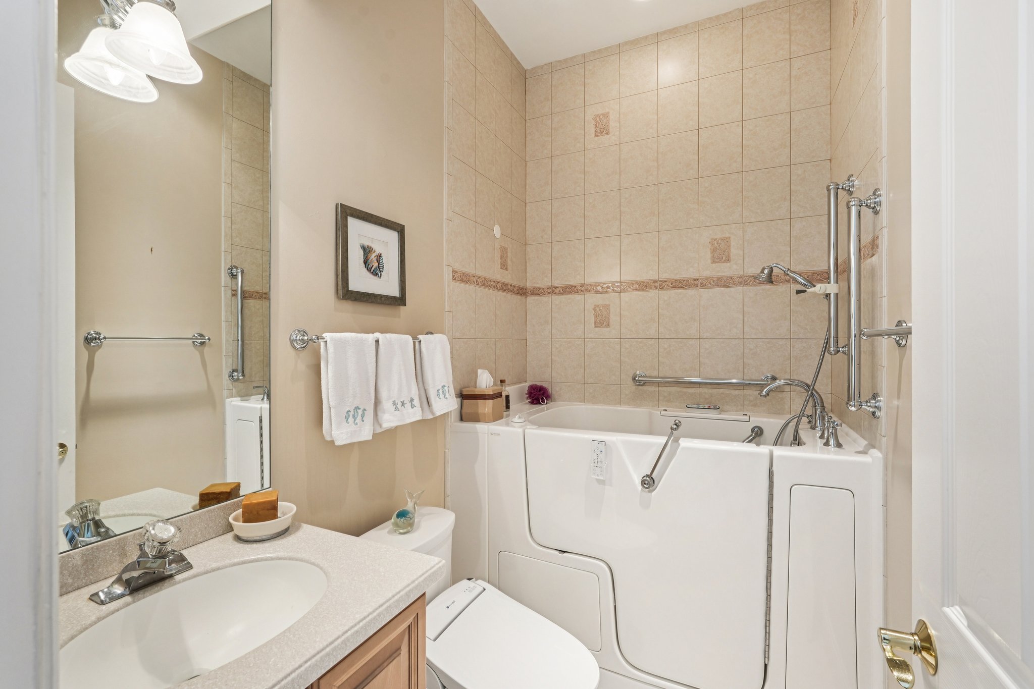 Star Tulip Ct-S2401-025.jpg