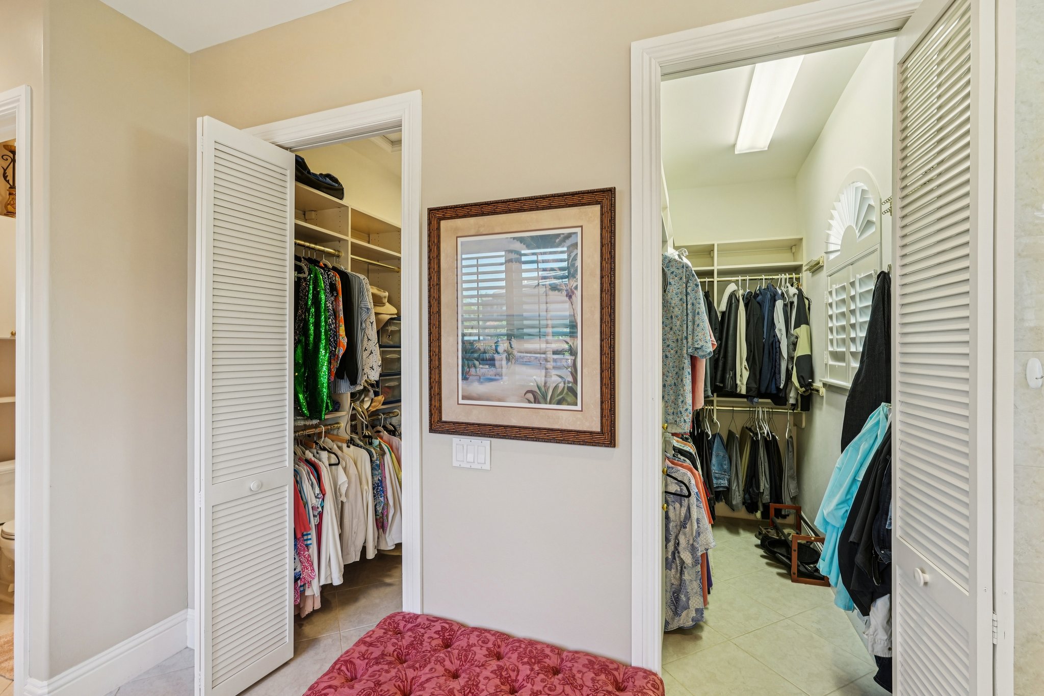 Star Tulip Ct-S2401-037.jpg