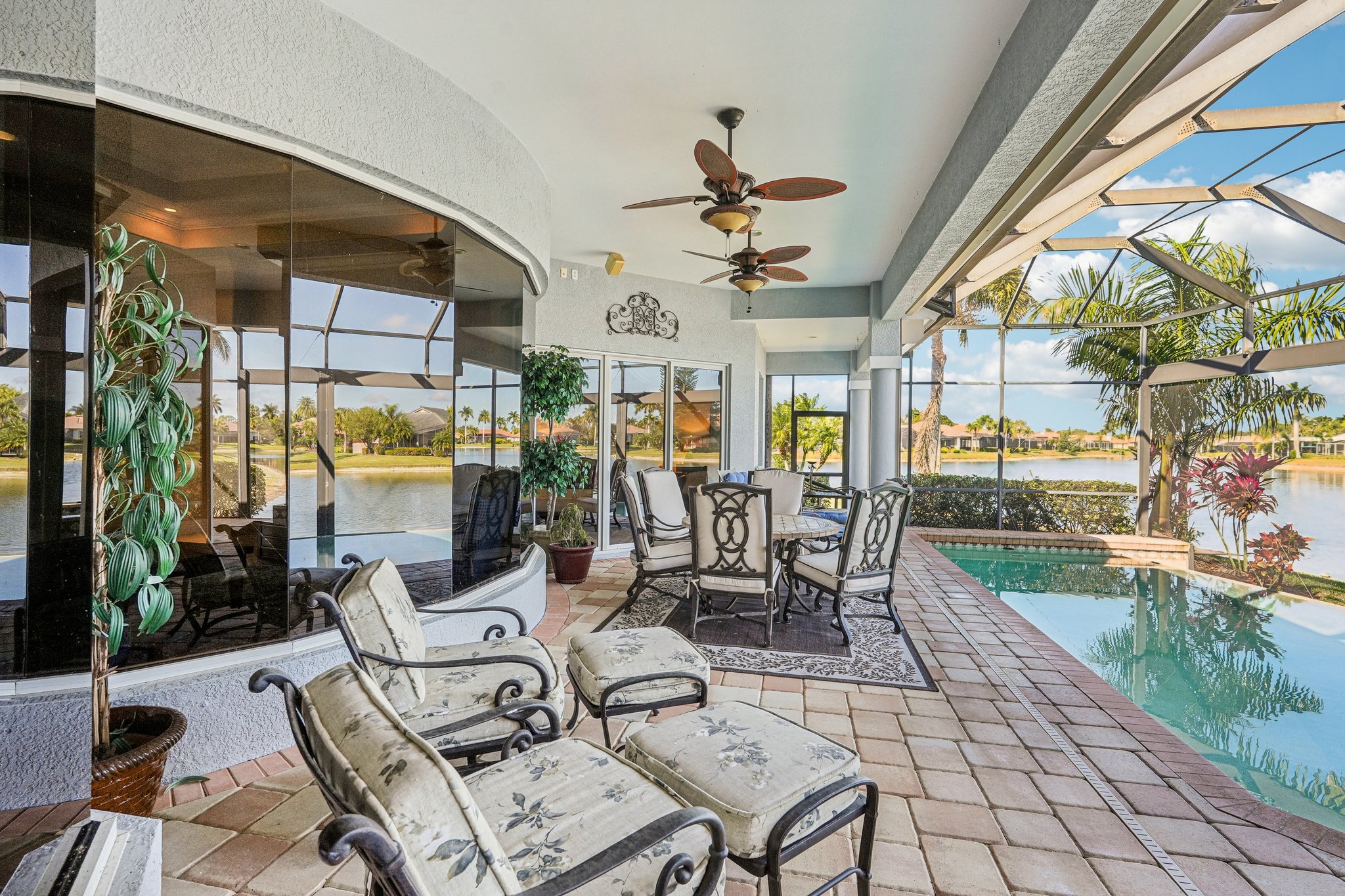 Star Tulip Ct-S2401-038.jpg