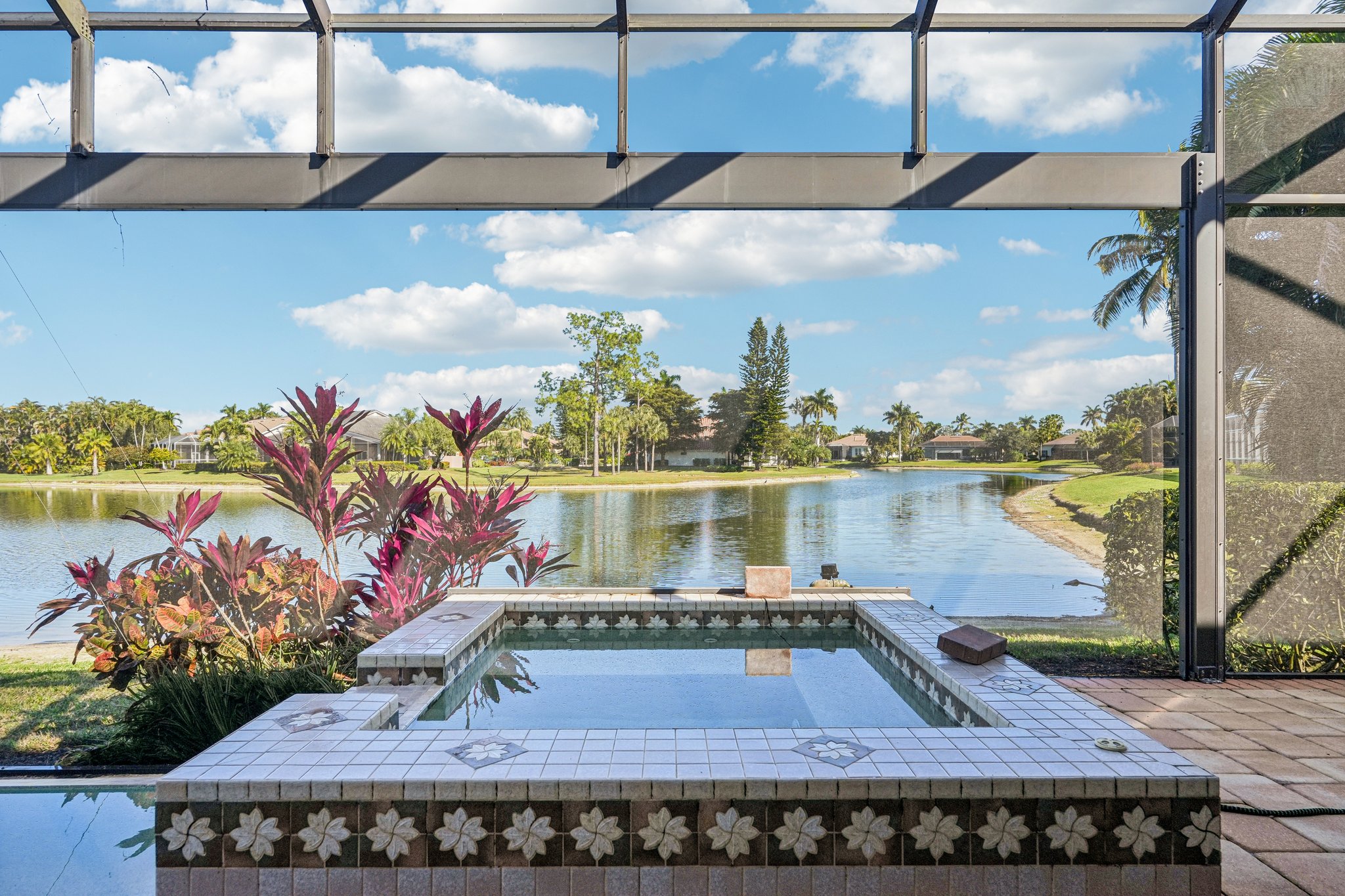 Star Tulip Ct-S2401-041.jpg