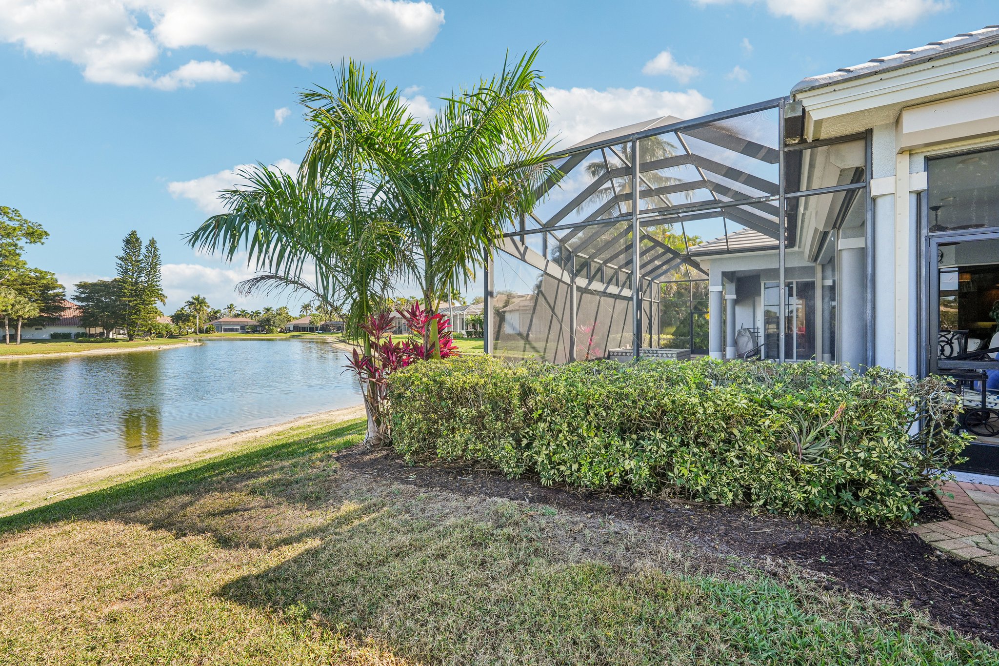 Star Tulip Ct-S2401-045.jpg