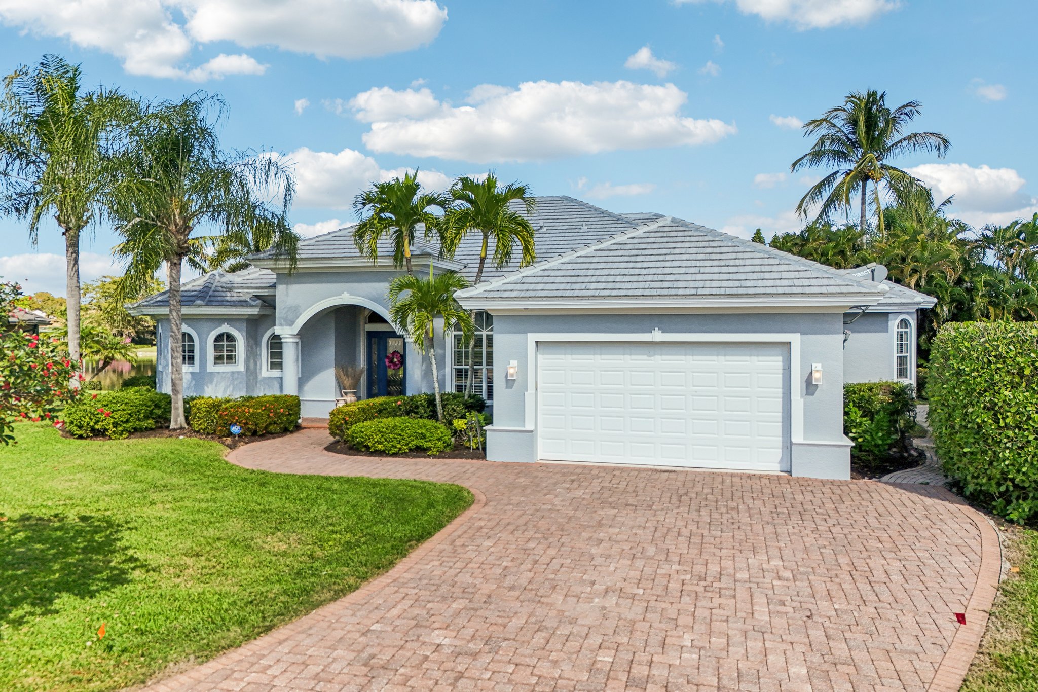 Star Tulip Ct-S2401-046.jpg