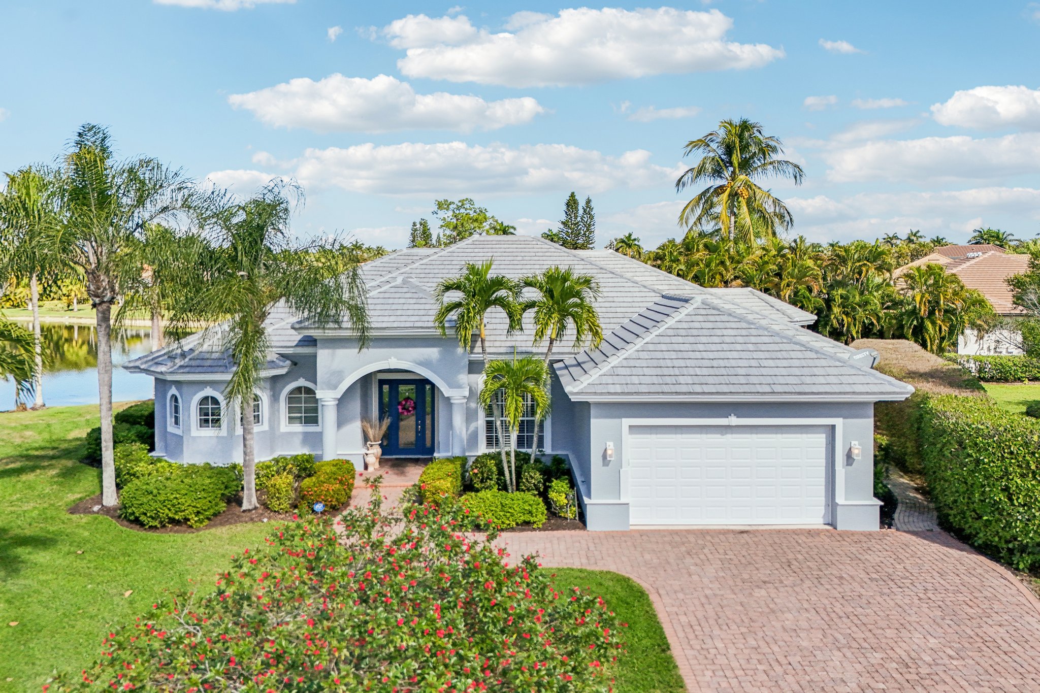 Star Tulip Ct-S2401-047.jpg