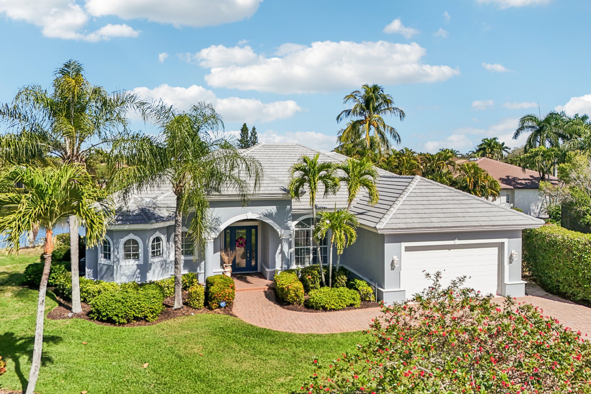 Star Tulip Ct-S2401-048.jpg