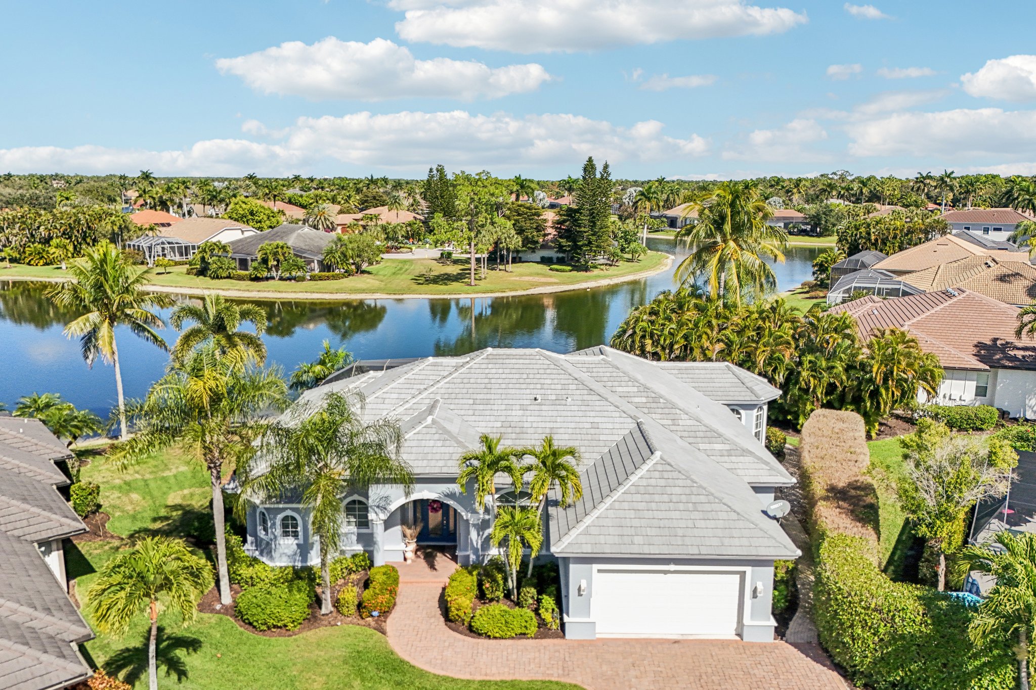 Star Tulip Ct-S2401-049.jpg