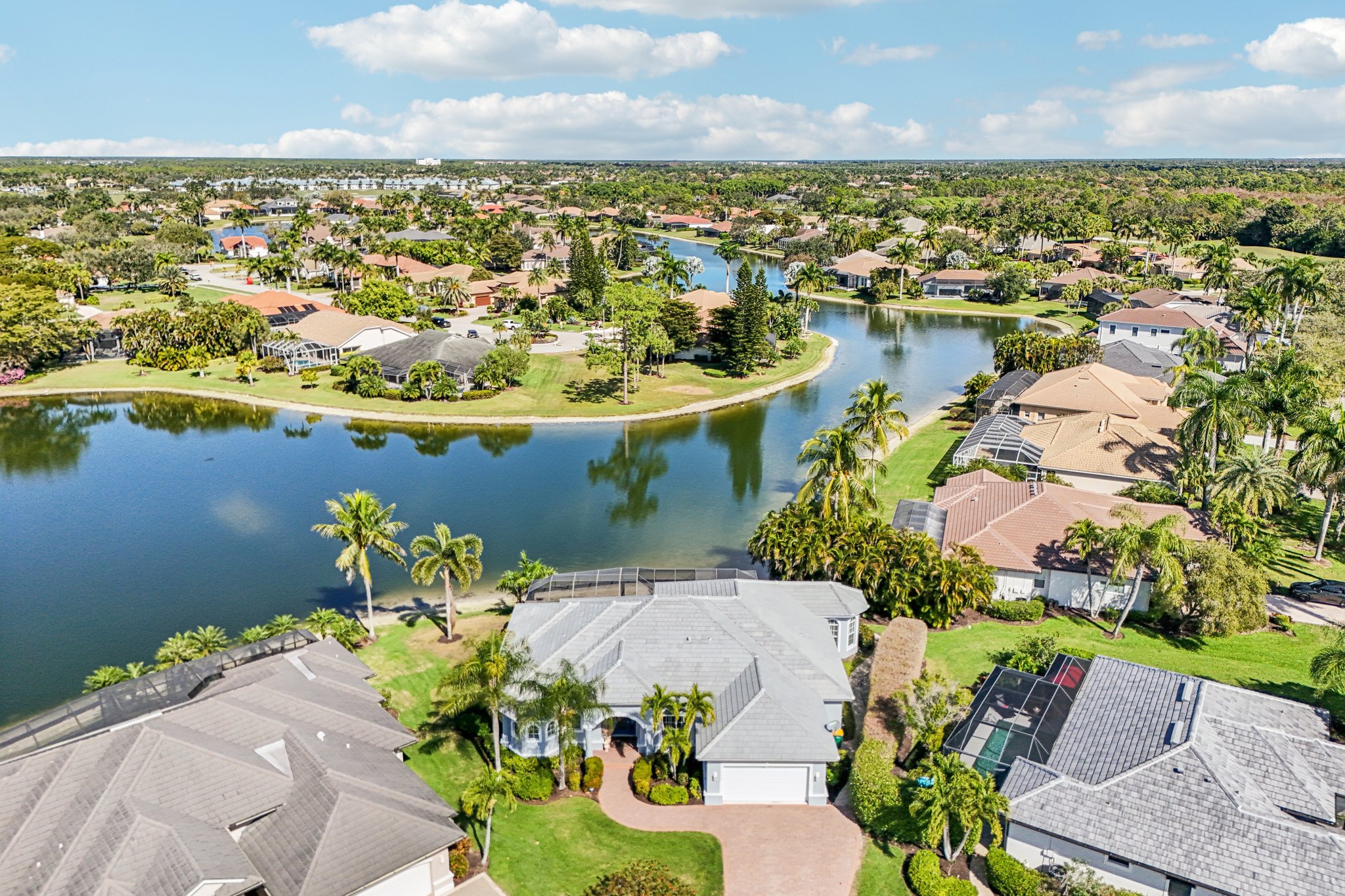 Star Tulip Ct-S2401-050.jpg