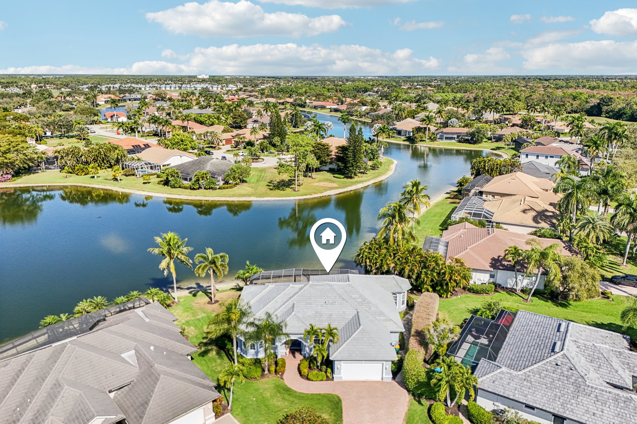 Star Tulip Ct-S2401-051.jpg