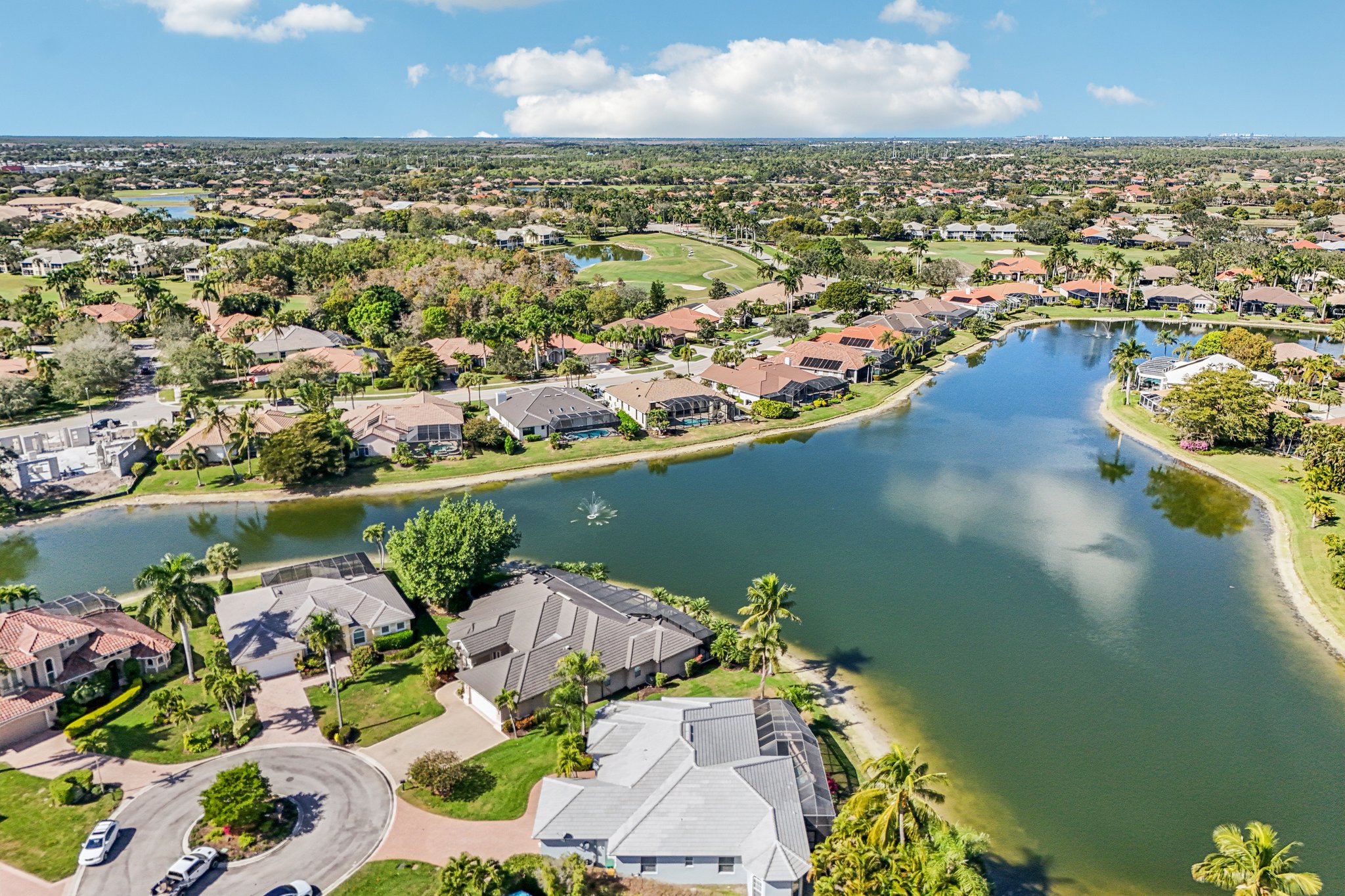 Star Tulip Ct-S2401-052.jpg