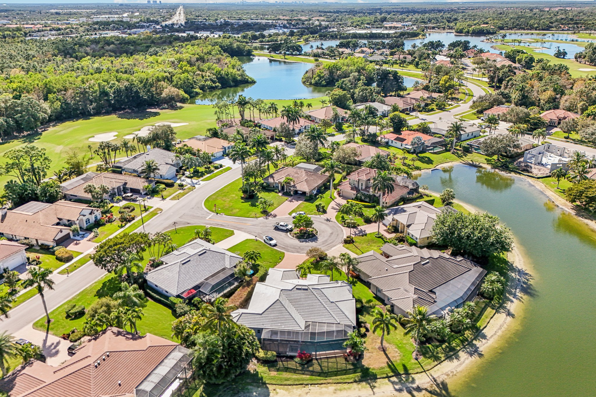 Star Tulip Ct-S2401-053.jpg