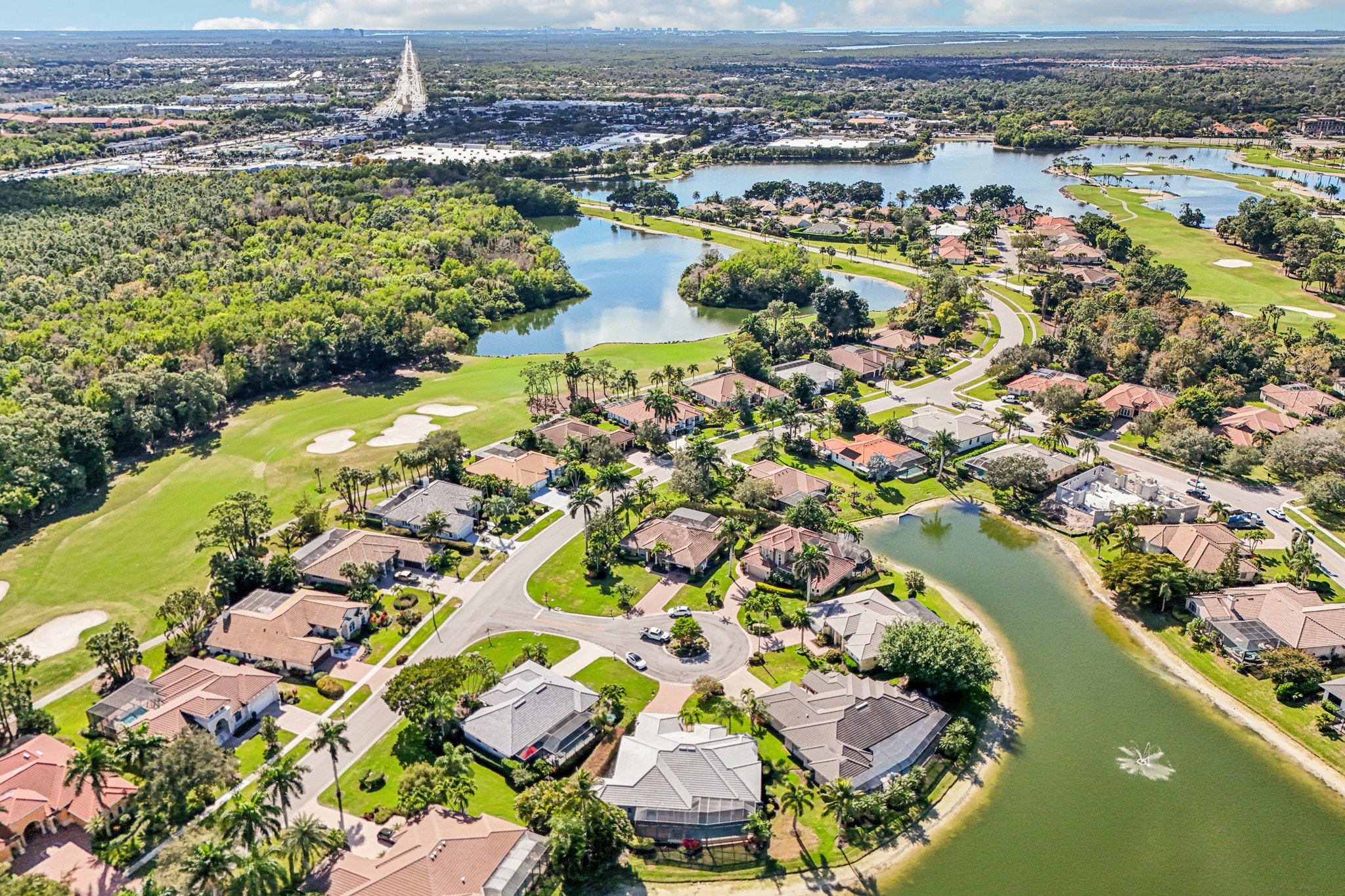 Star Tulip Ct-S2401-054.jpg