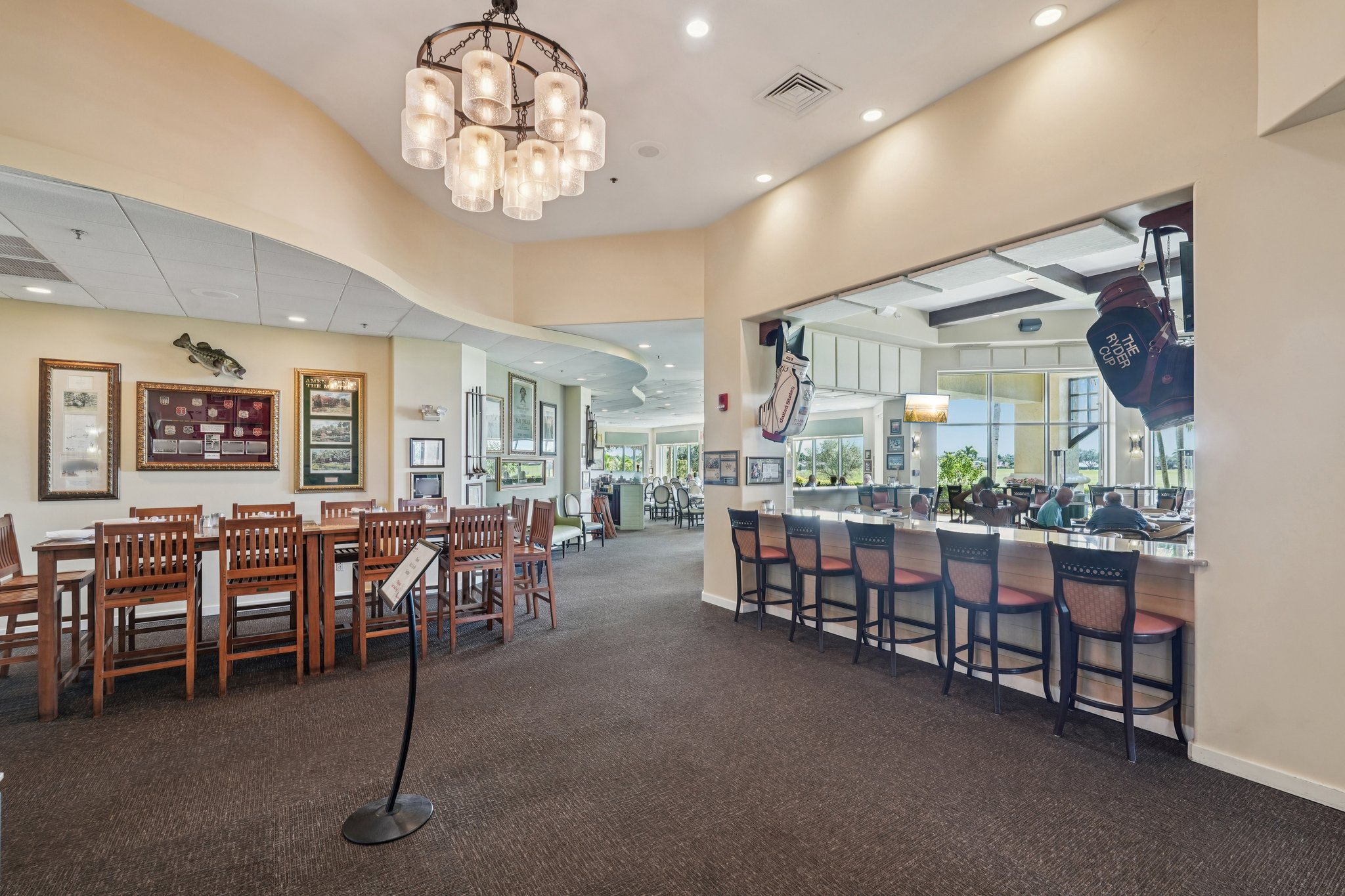 Star Tulip Ct-2401-904.jpg