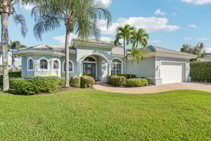 Star Tulip Ct-S2401-003.jpg