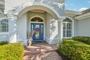 Star Tulip Ct-S2401-004.jpg