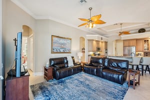 Star Tulip Ct-S2401-009.jpg