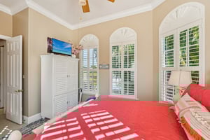 Star Tulip Ct-S2401-022.jpg