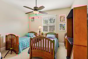 Star Tulip Ct-S2401-023.jpg