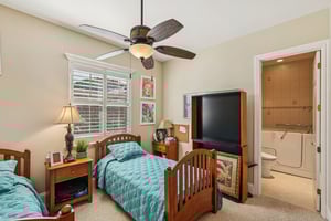 Star Tulip Ct-S2401-024.jpg