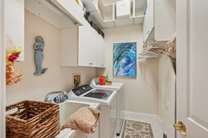 Star Tulip Ct-S2401-029.jpg