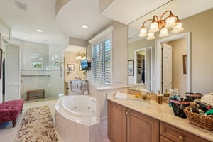 Star Tulip Ct-S2401-034.jpg