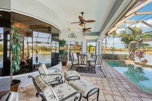 Star Tulip Ct-S2401-038.jpg